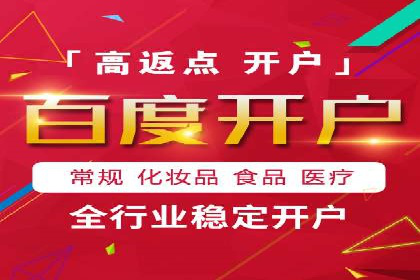 SEM推广策略：成功案例解析